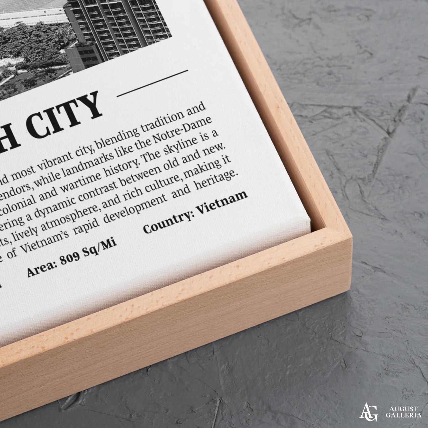 Ho Chi Minh City Black & White City Print