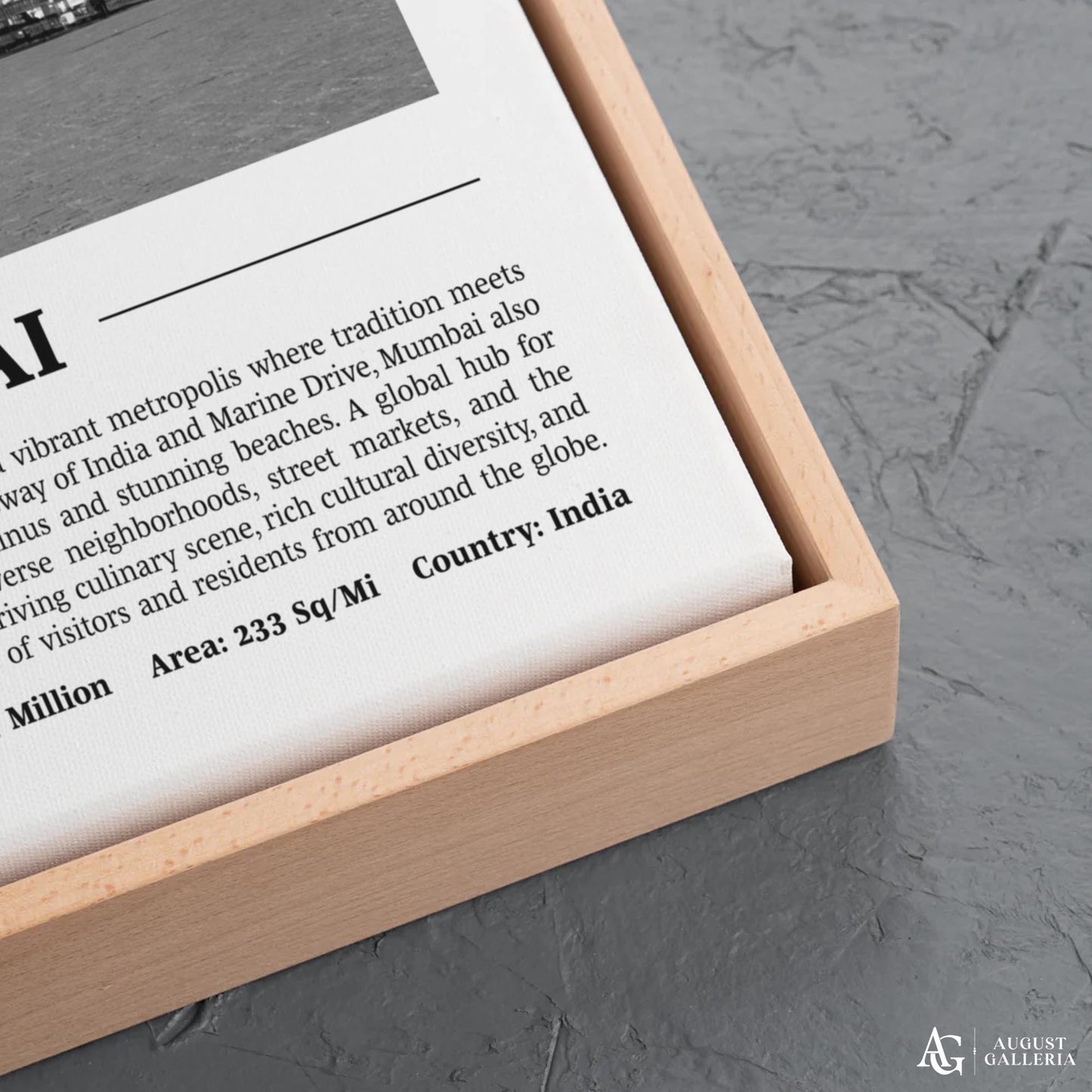 Mumbai Black & White City Print