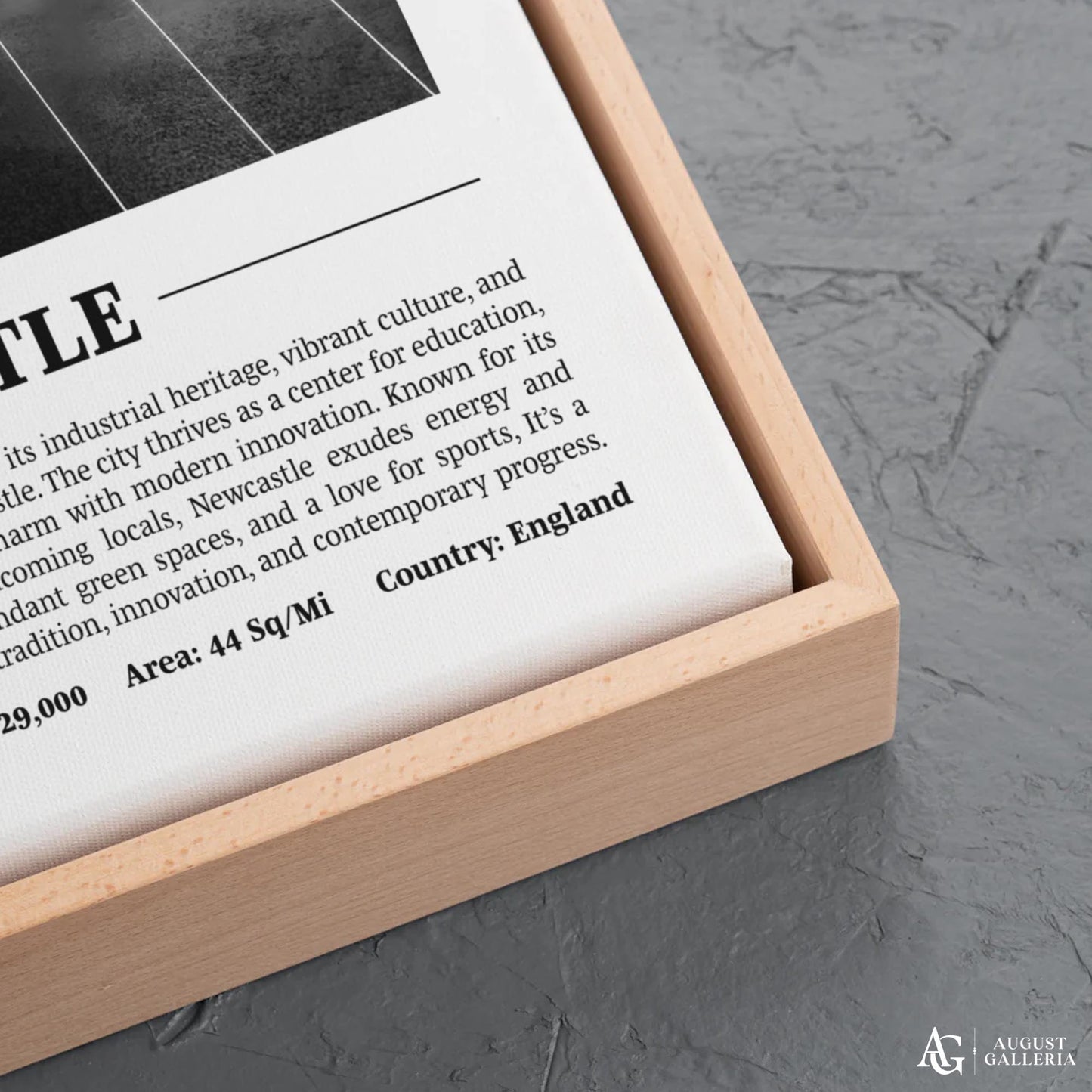Newcastle Black & White City Print