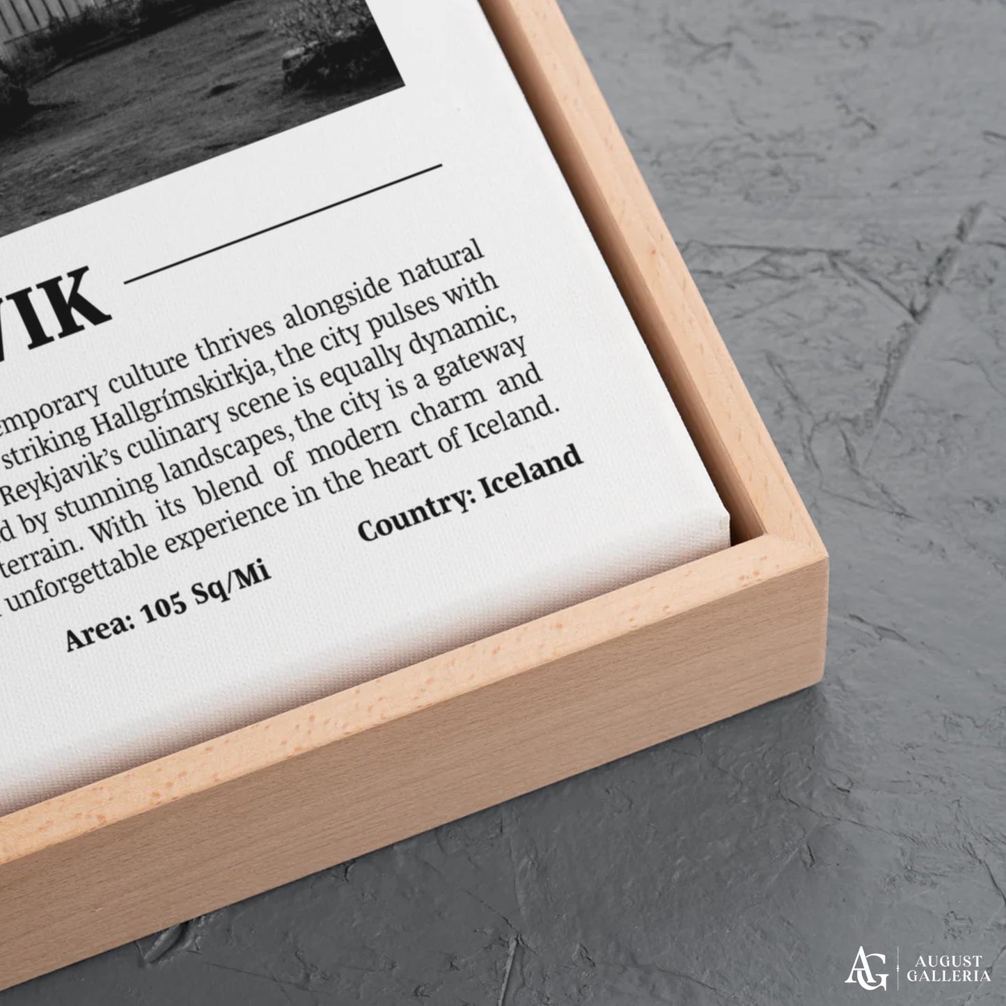 Reykjavik Black & White City Print