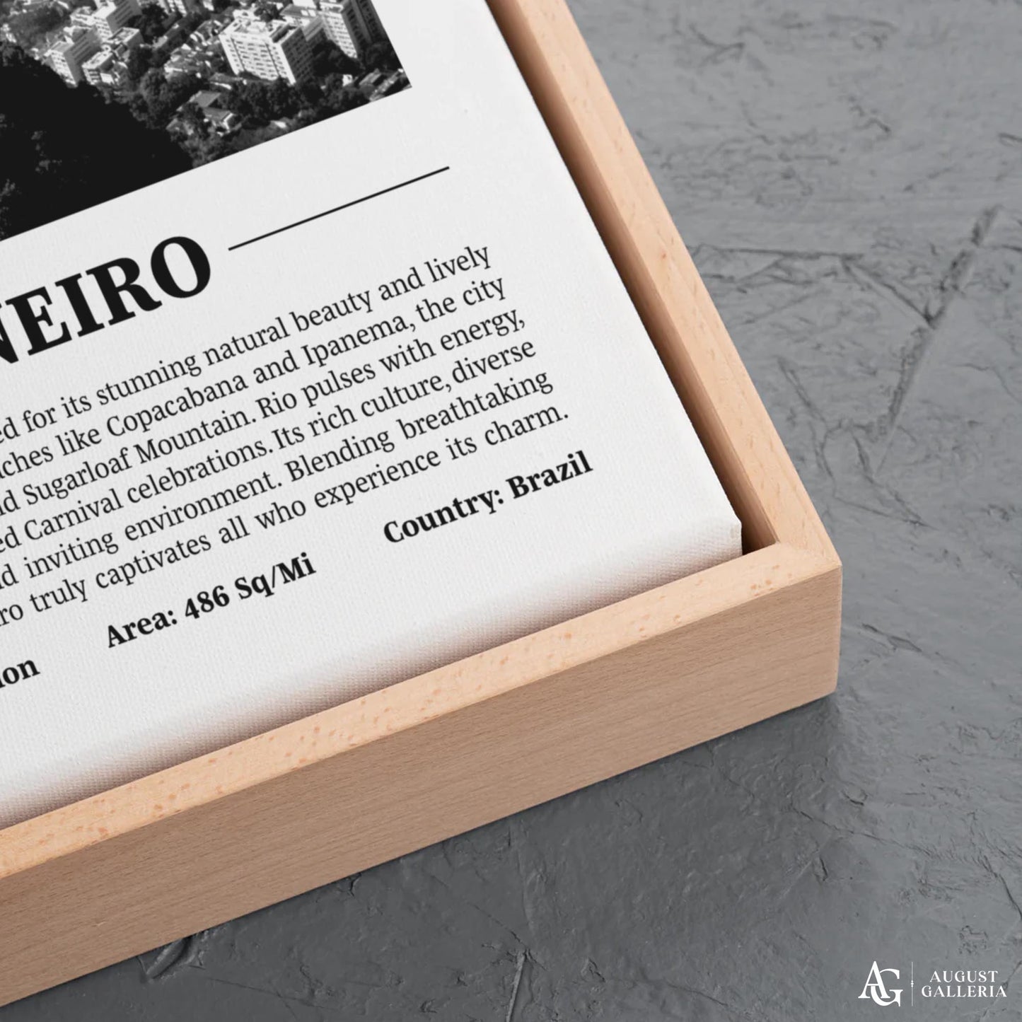 Rio de Janeiro Black & White City Print