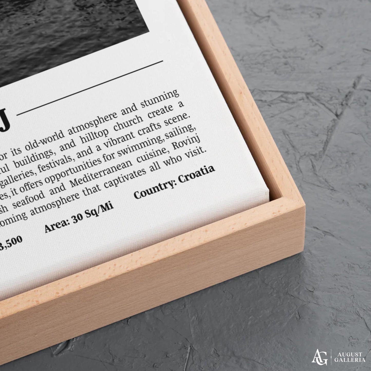 Rovinj Black & White City Print