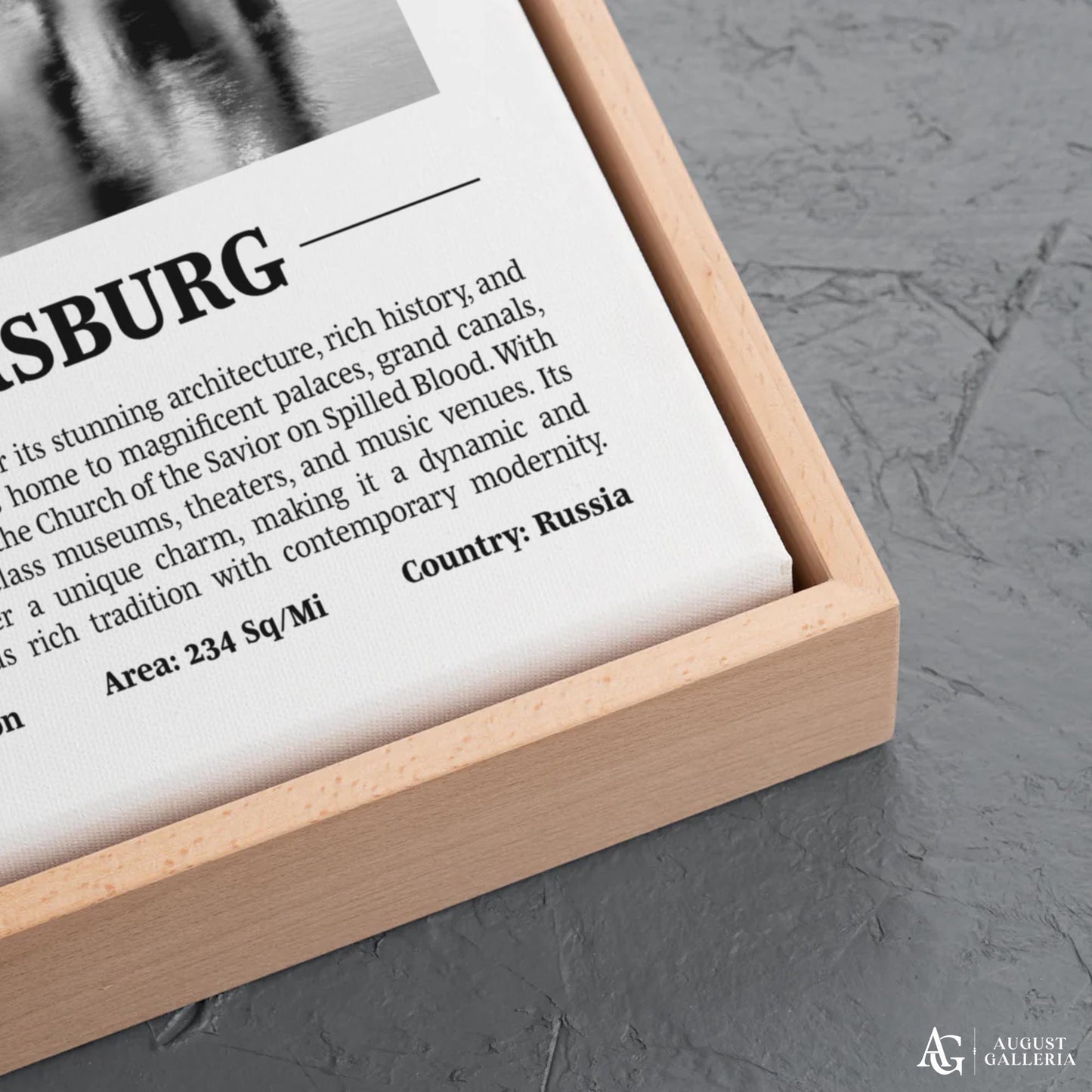 Saint Petersburg Black & White City Print