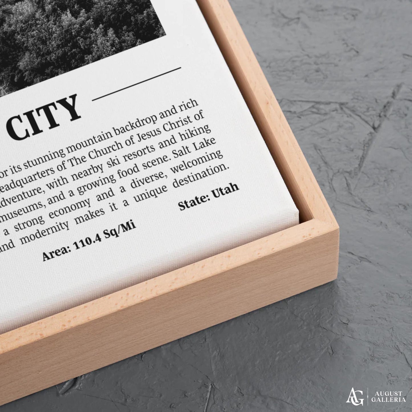 Salt Lake City Black & White City Print
