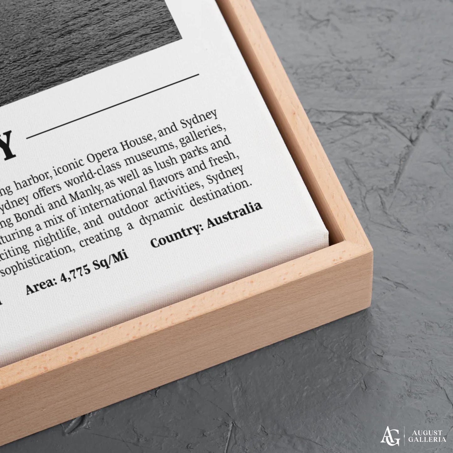 Sydney Black & White City Print