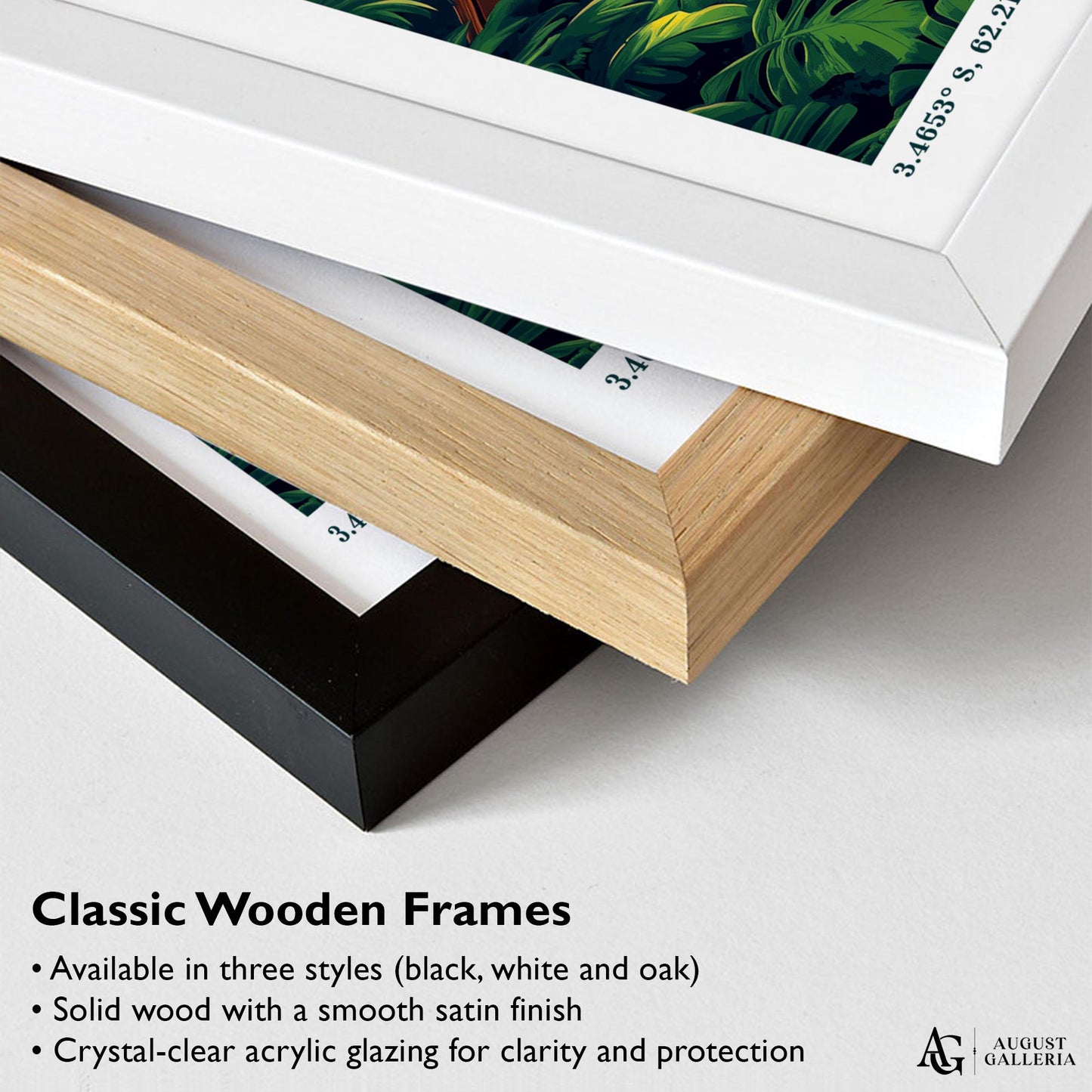 Amazon Rainforest Retro Travel Print
