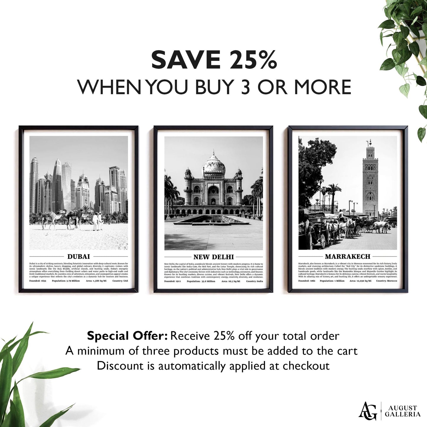 New Delhi Black & White City Print