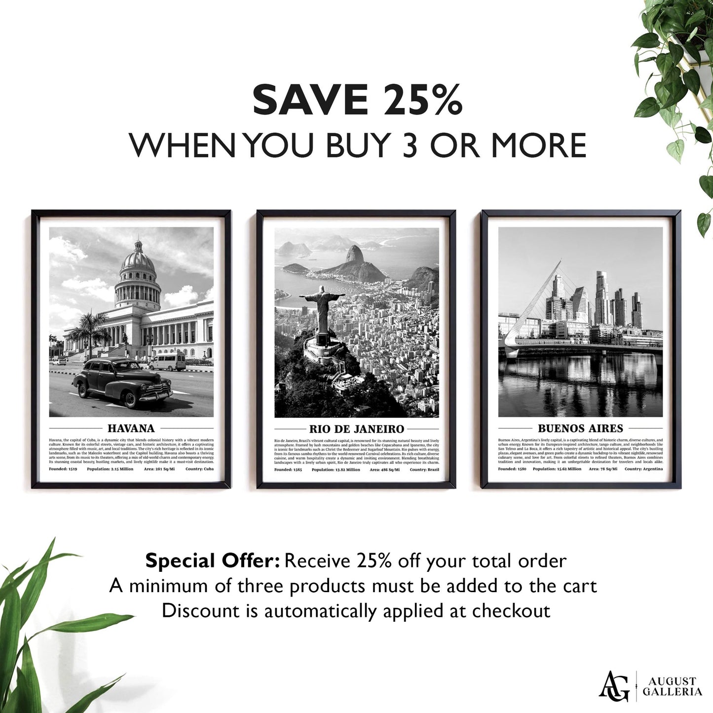 Rio de Janeiro Black & White City Print