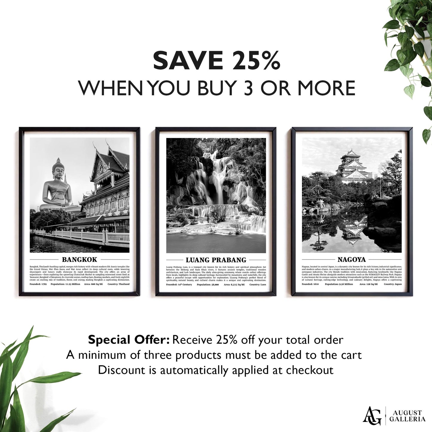 Luang Prabang Black & White City Print