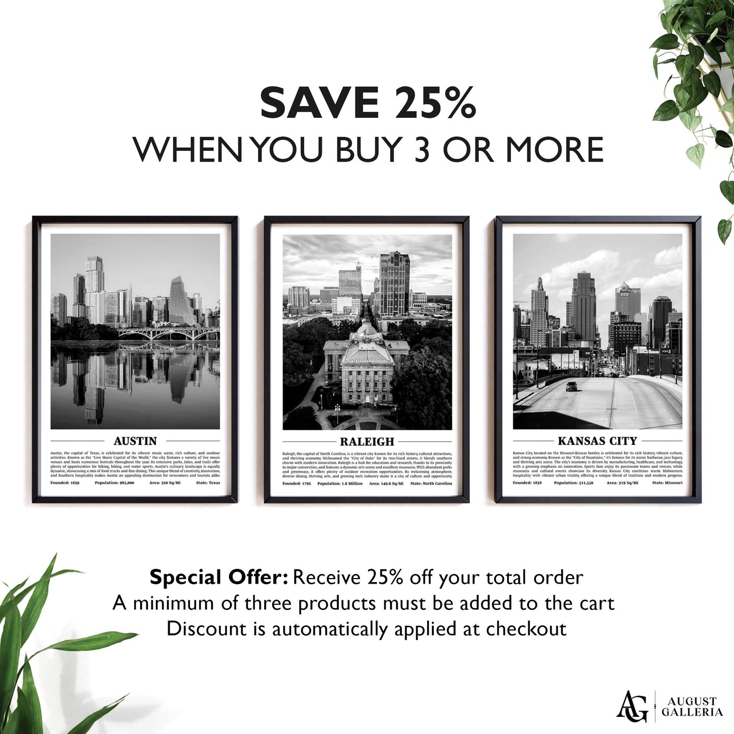 Raleigh Black & White City Print