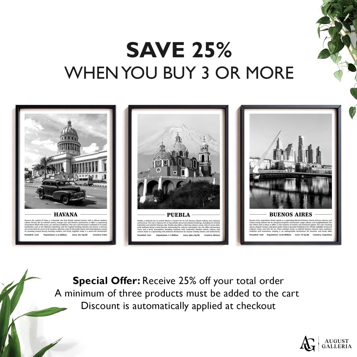 Puebla Black & White City Print