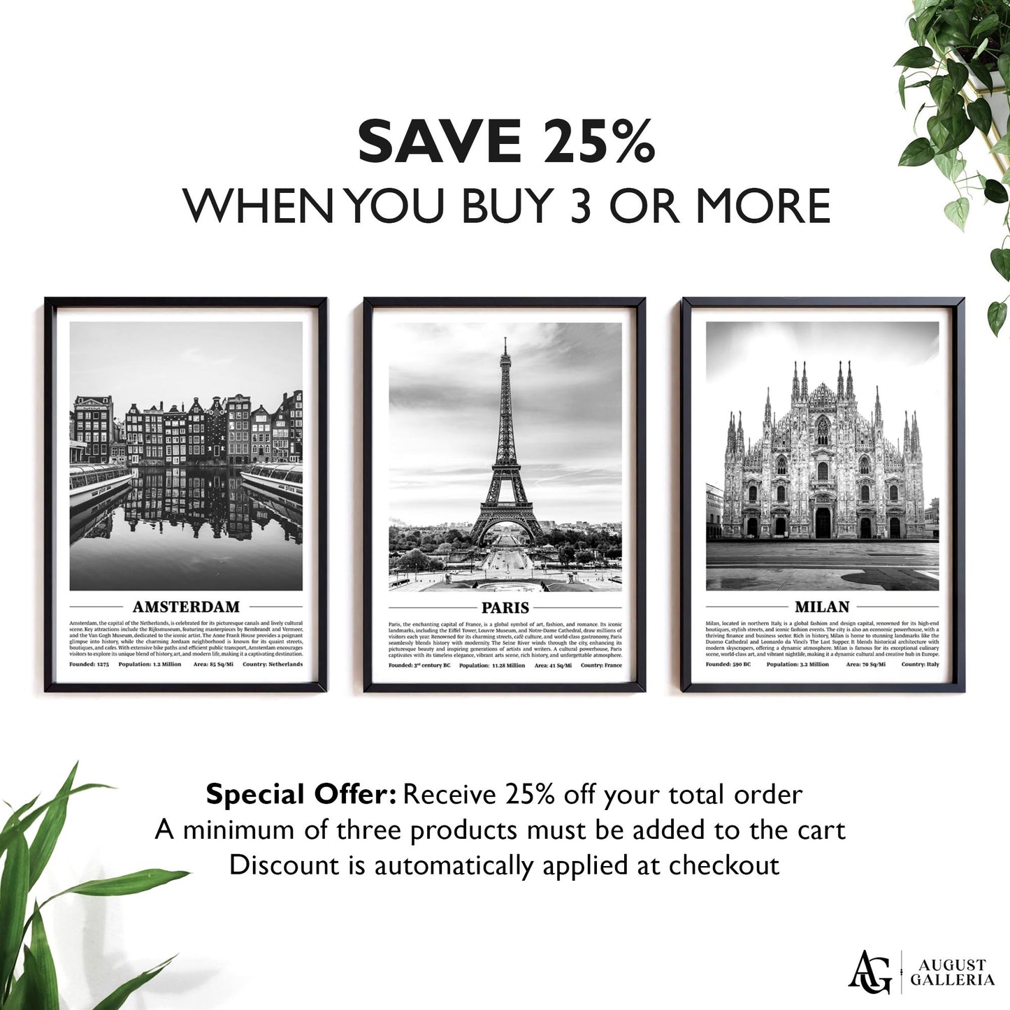 Paris Black & White City Print