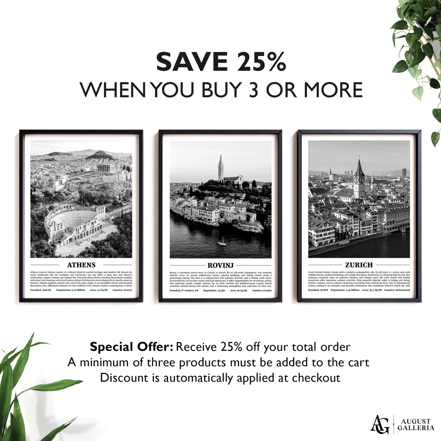 Rovinj Black & White City Print