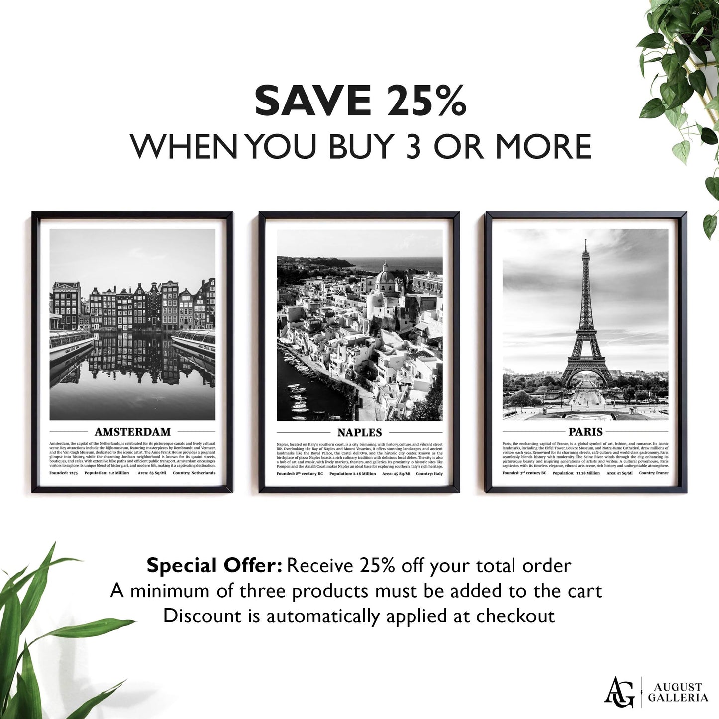 Naples Black & White City Print