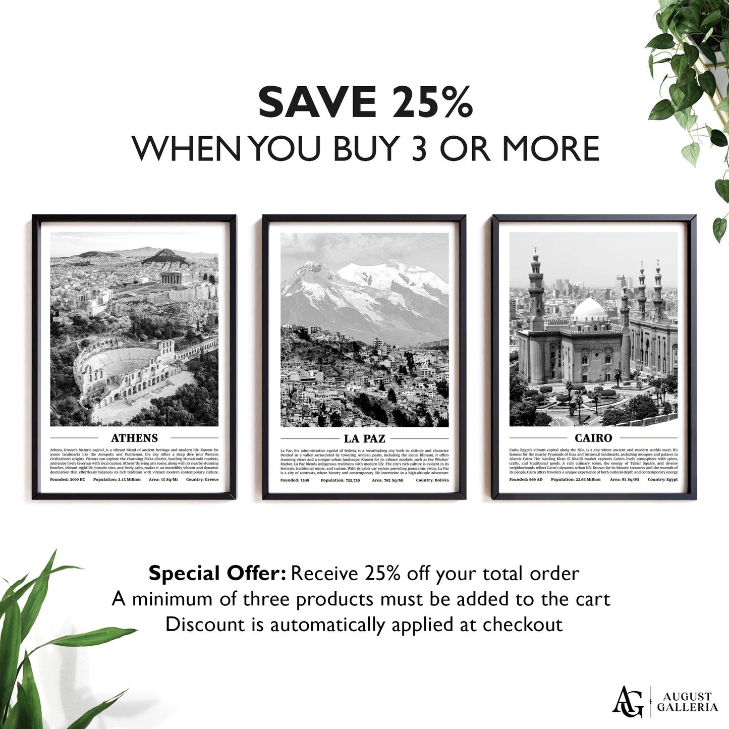 La Paz Black & White City Print