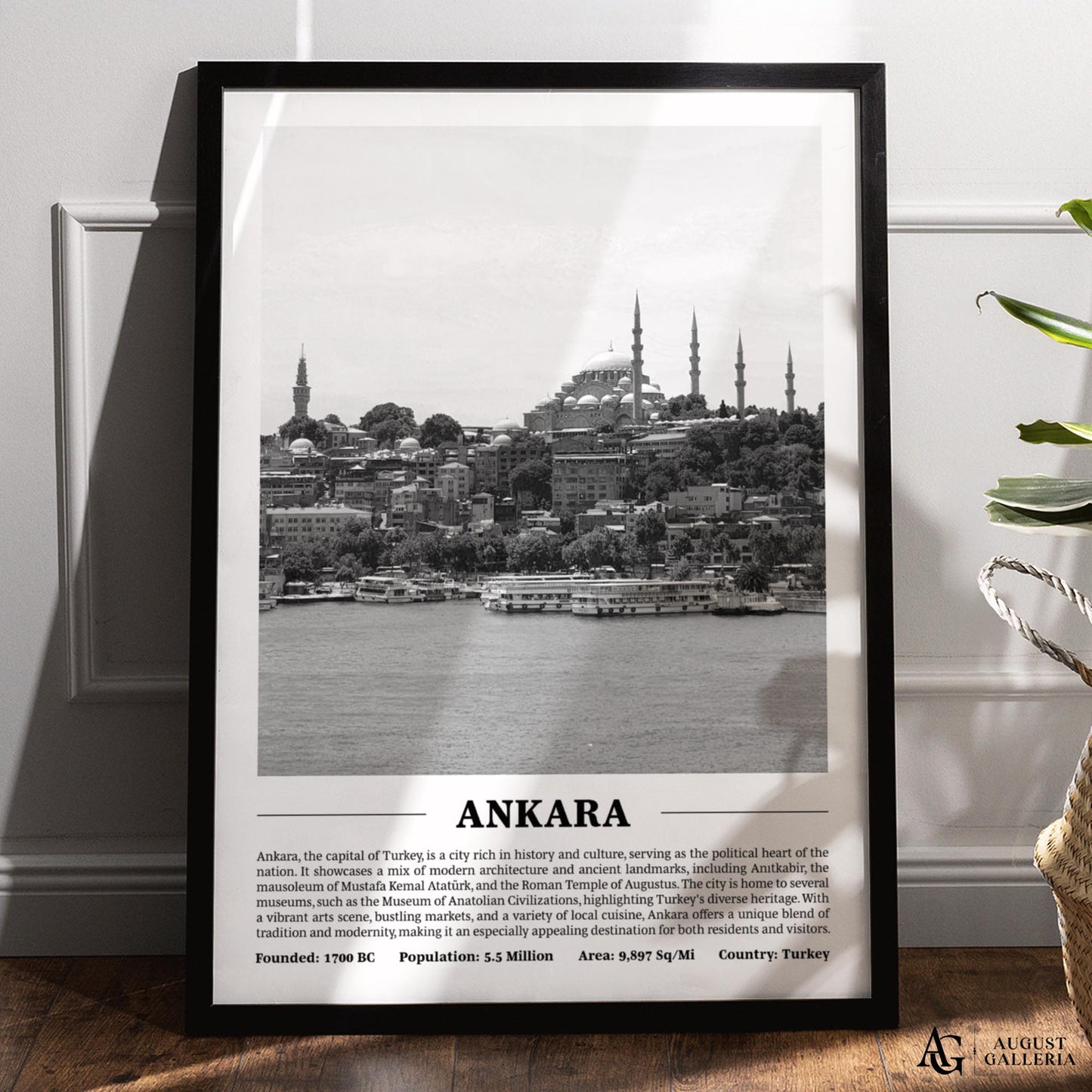 Ankara Black & White City Print