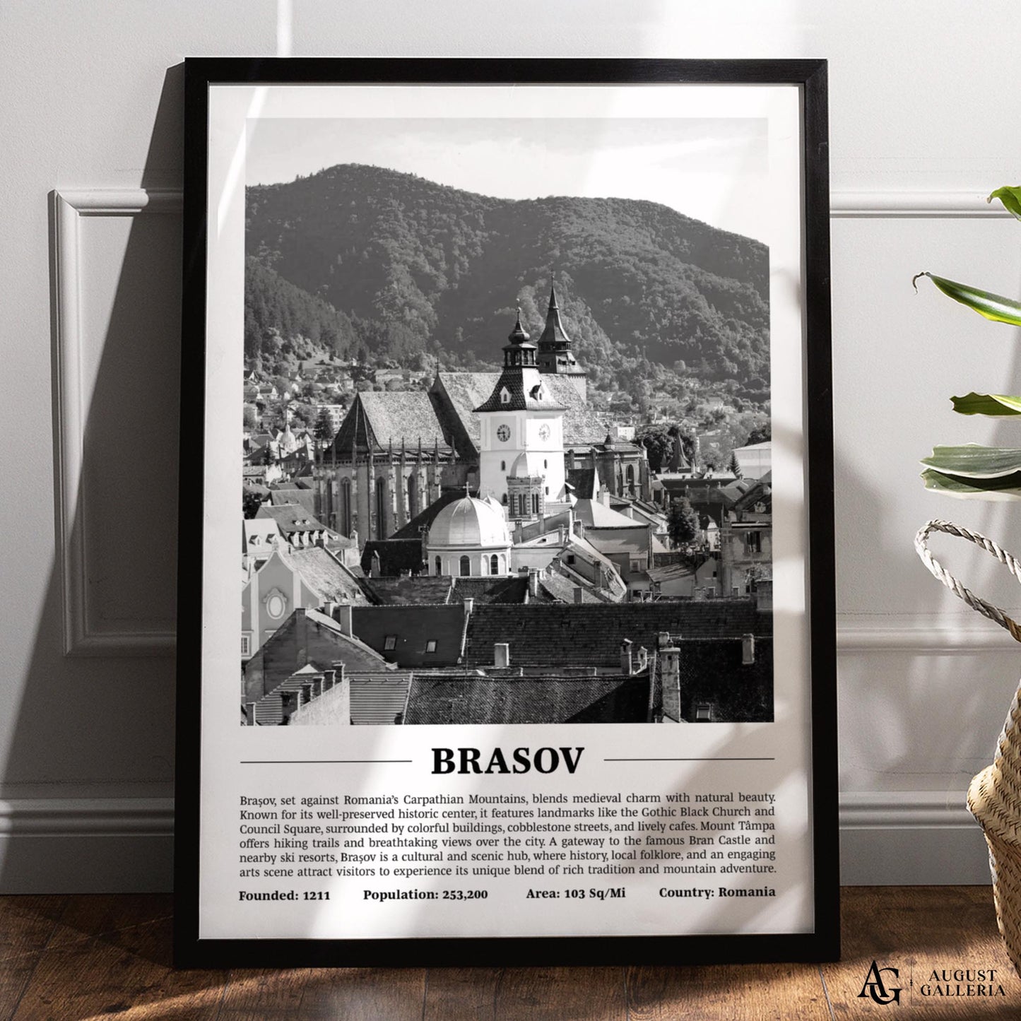 Brașov Black & White City Print