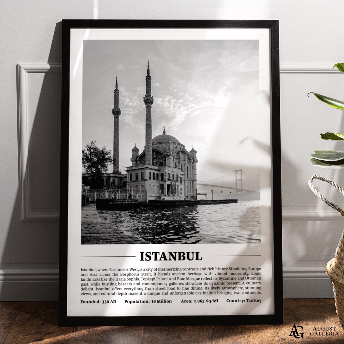 Istanbul Black & White City Print