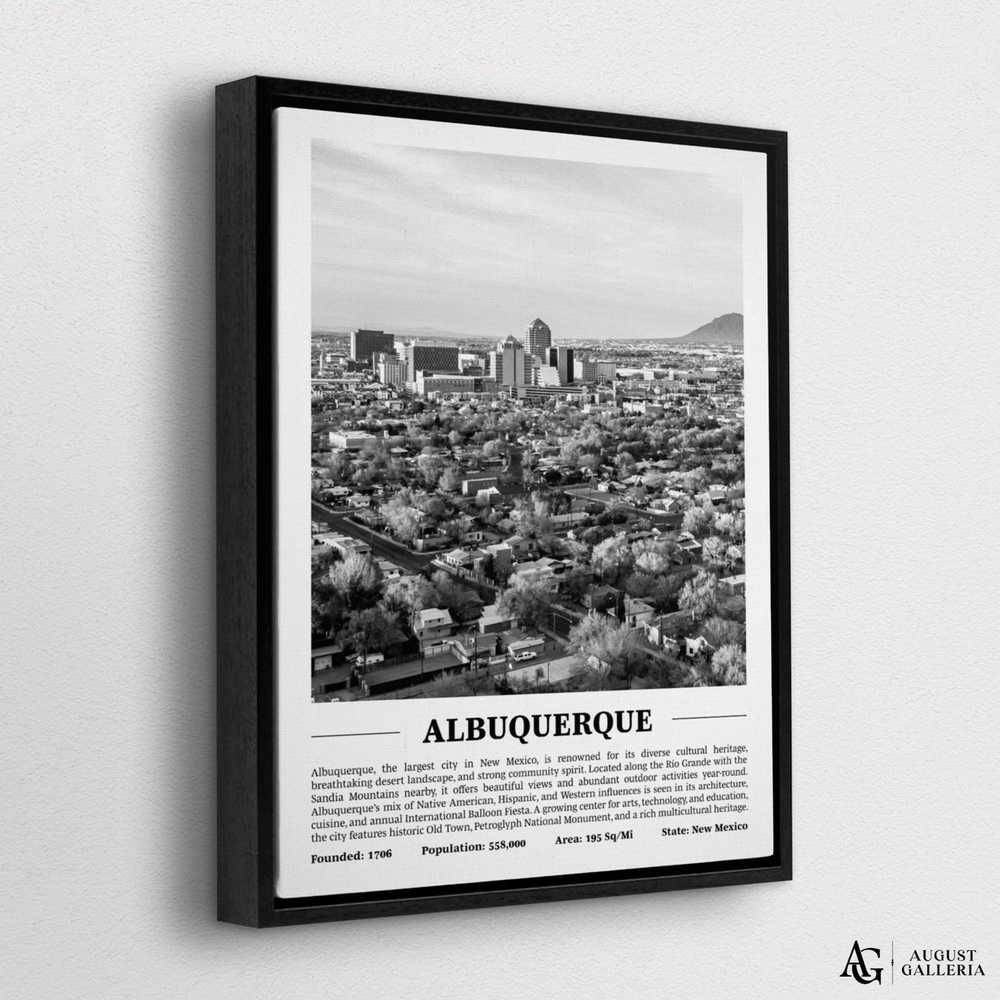 Albuquerque Black & White City Print