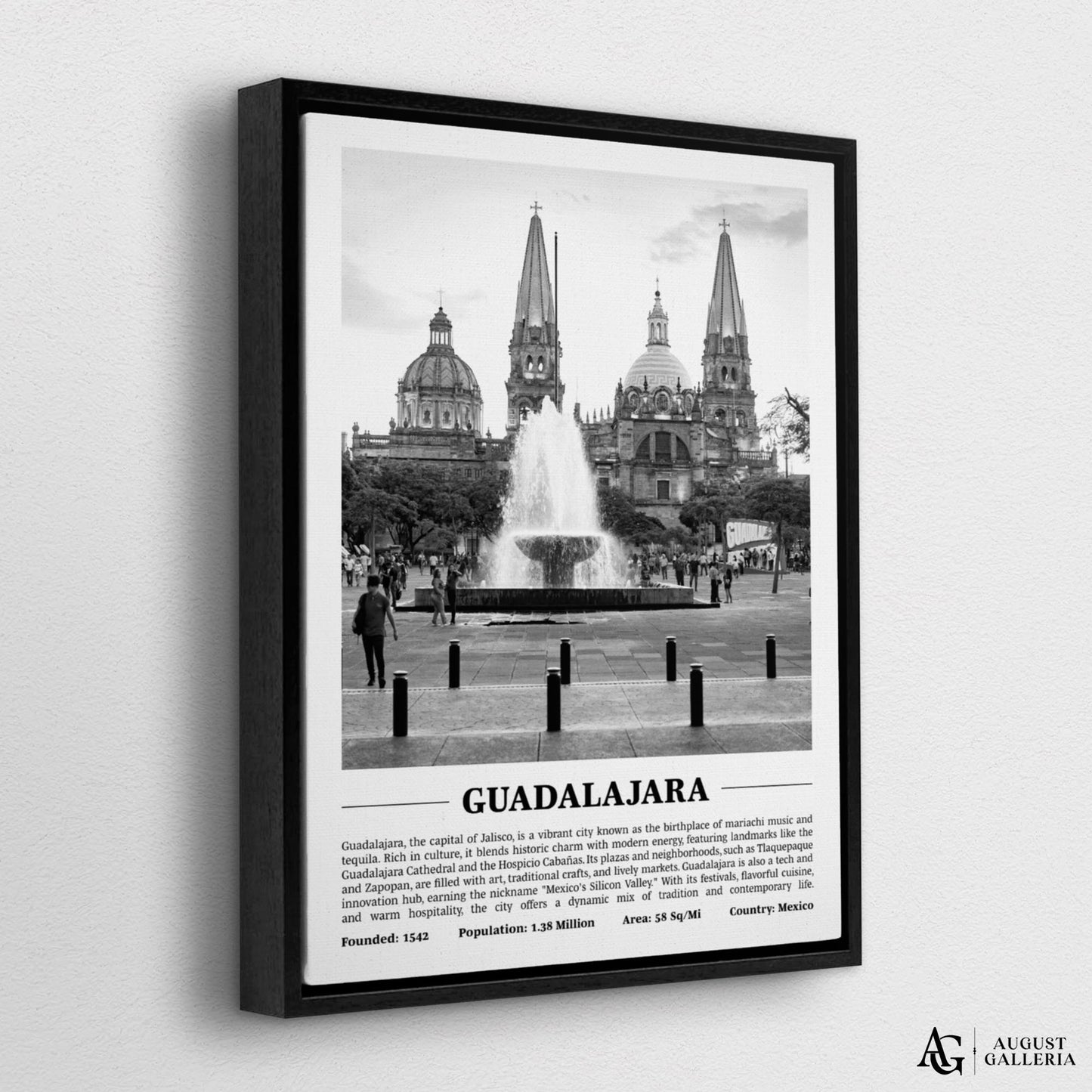 Guadalajara Black & White City Print