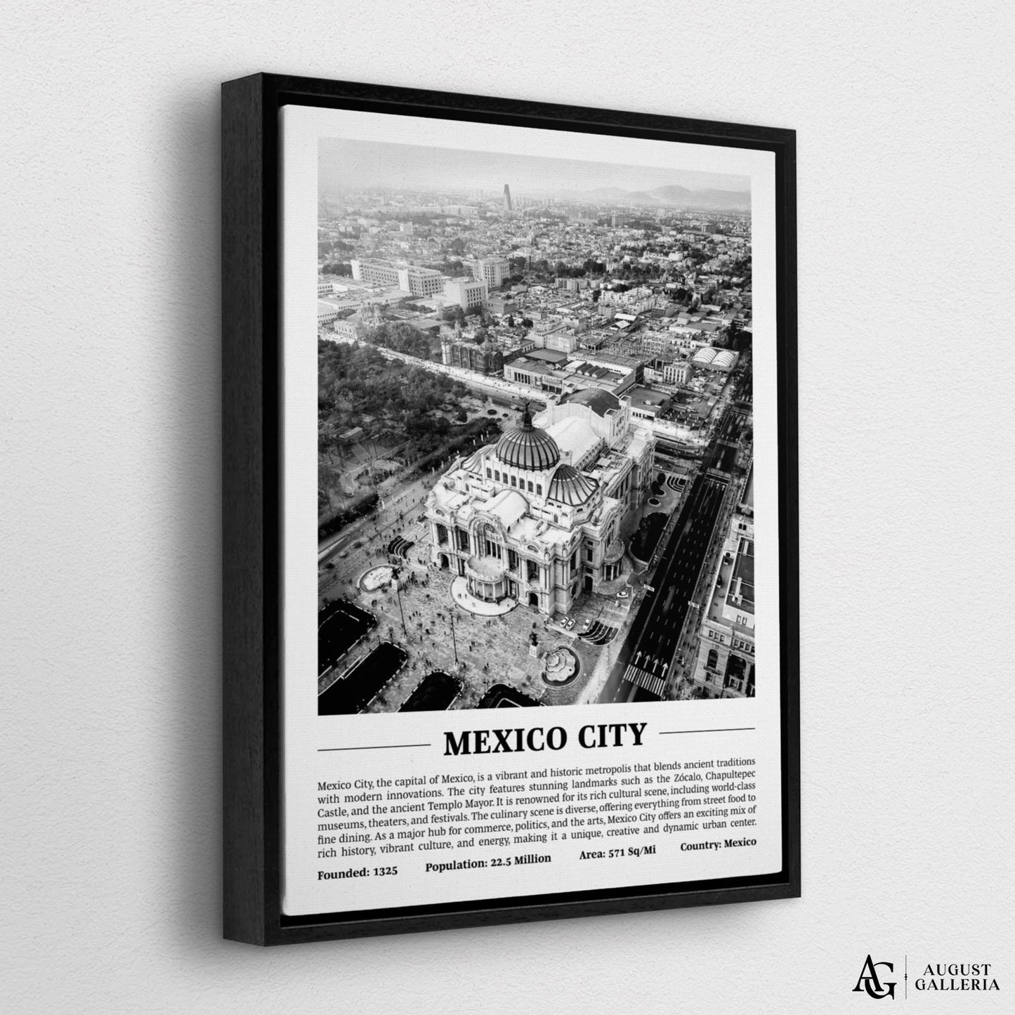 Mexico City Black & White City Print