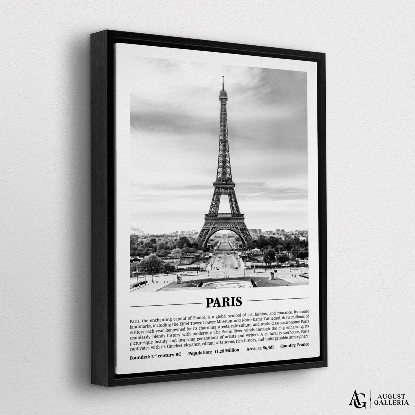 Paris Black & White City Print