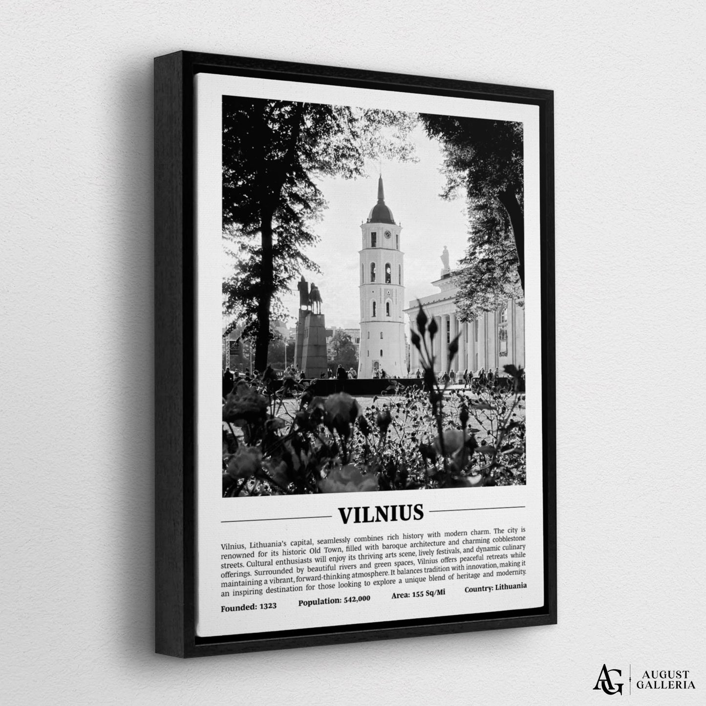 Vilnius Black & White City Print