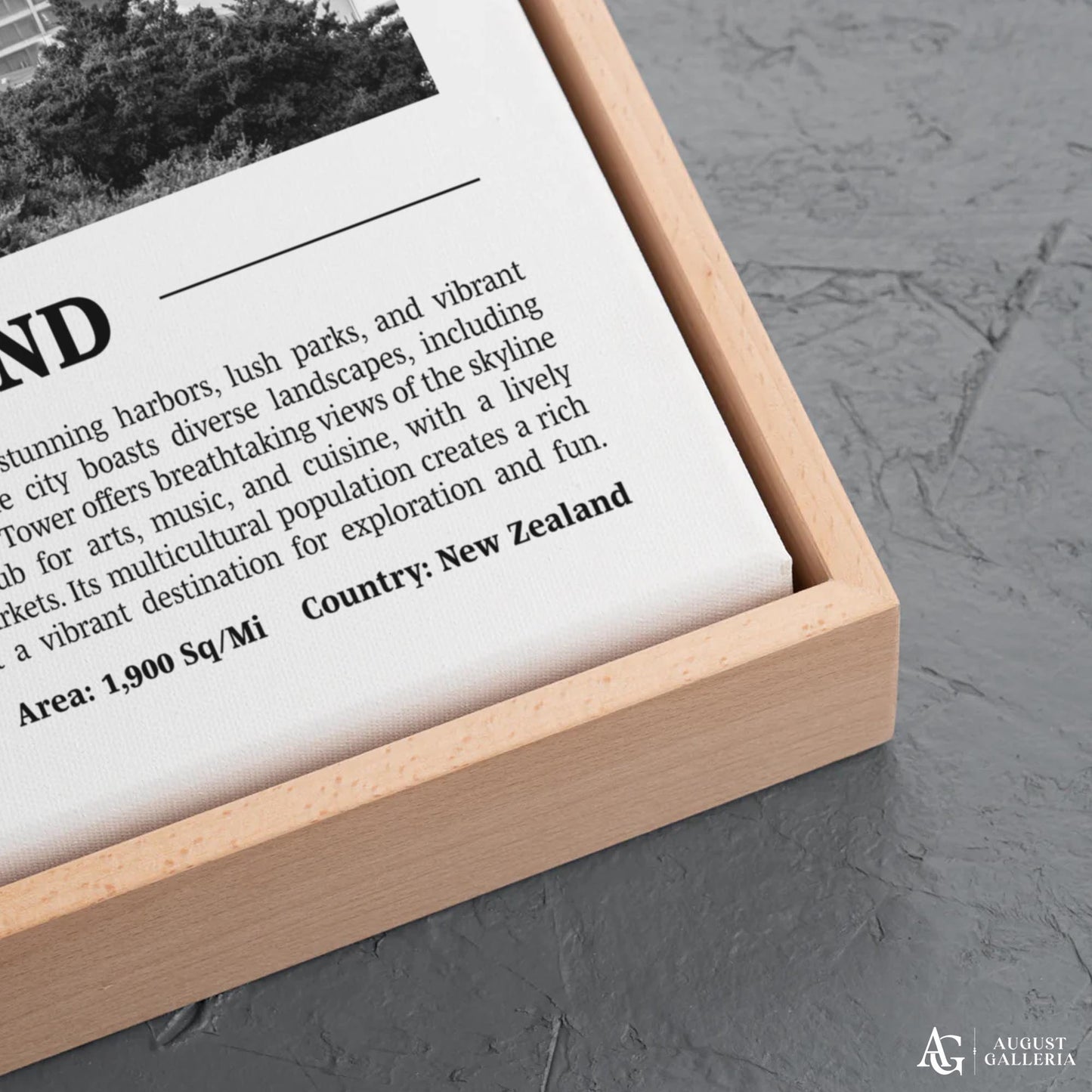 Auckland Black & White City Print