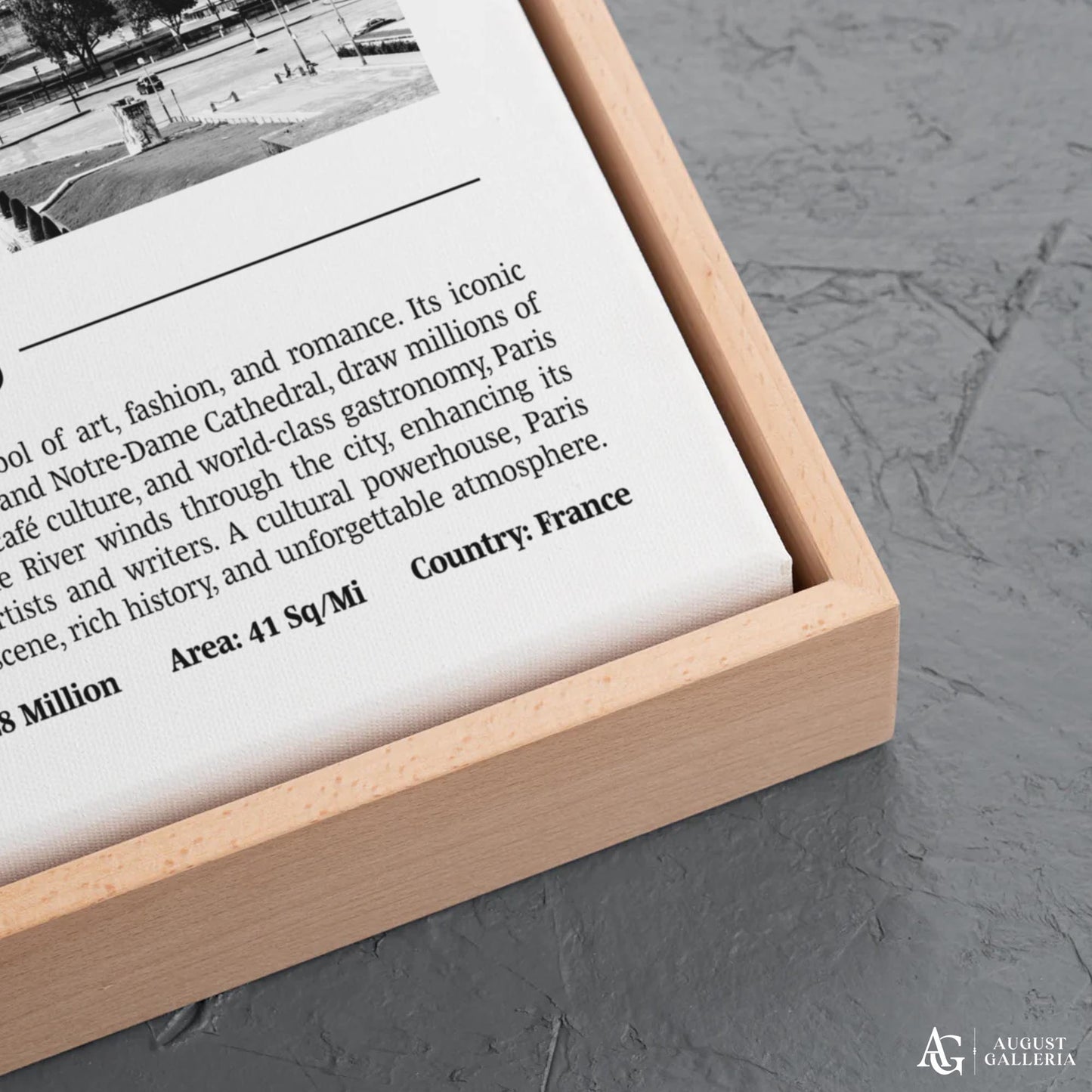 Paris Black & White City Print