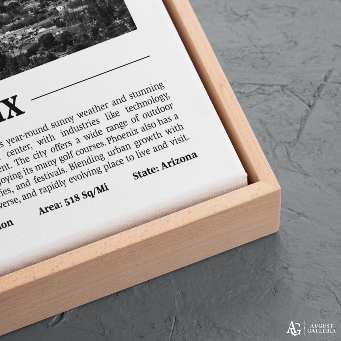 Phoenix Black & White City Print