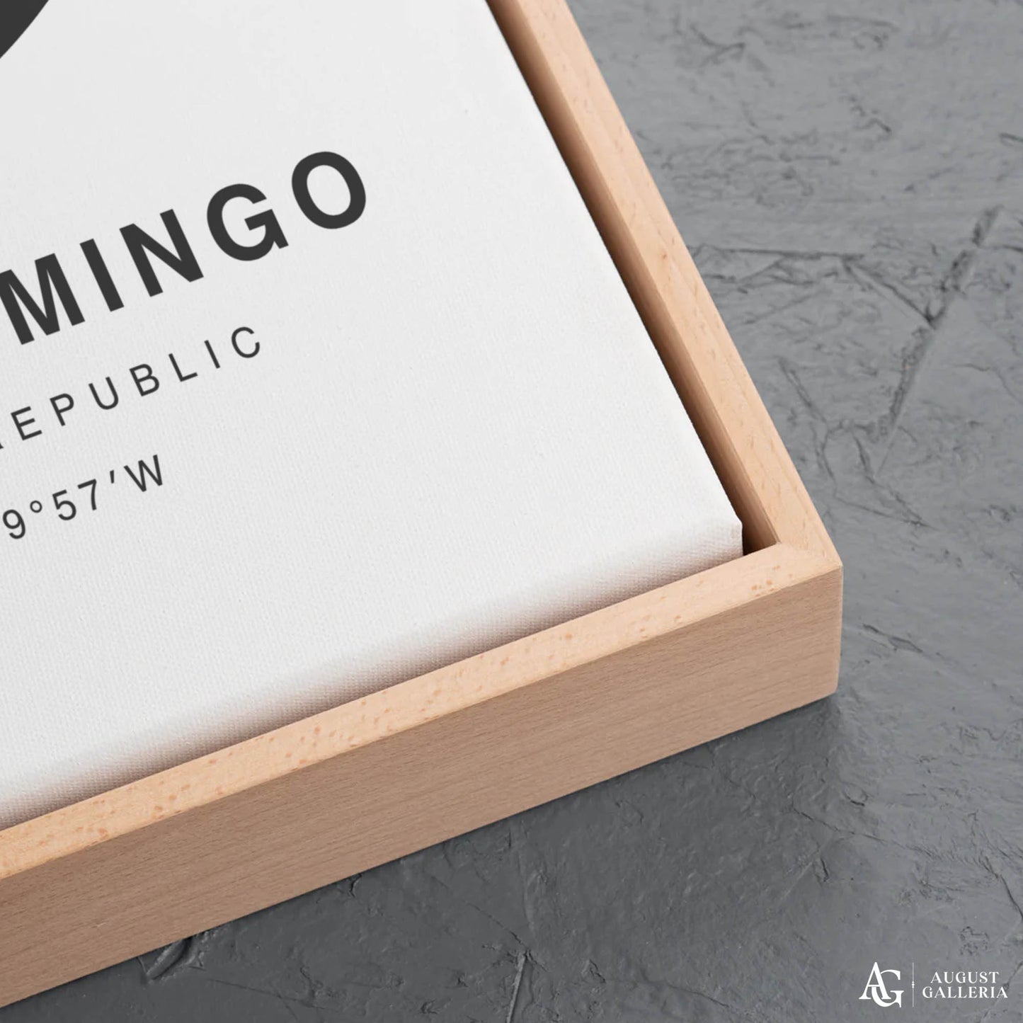 Santo Domingo Minimalist Map