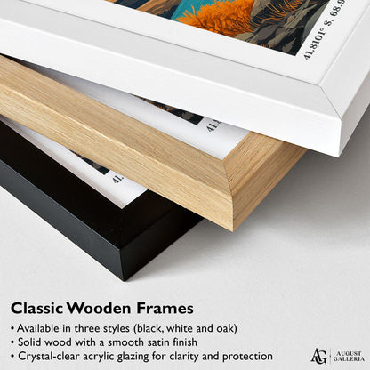 Patagonia Retro Travel Print