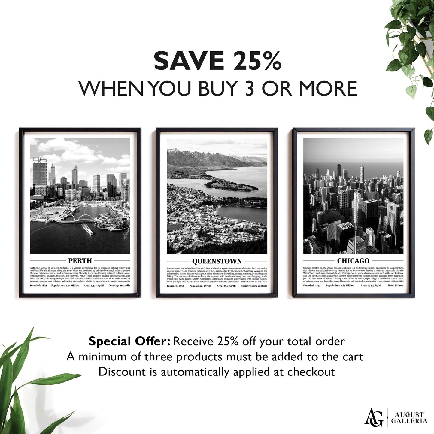 Queenstown Black & White City Print