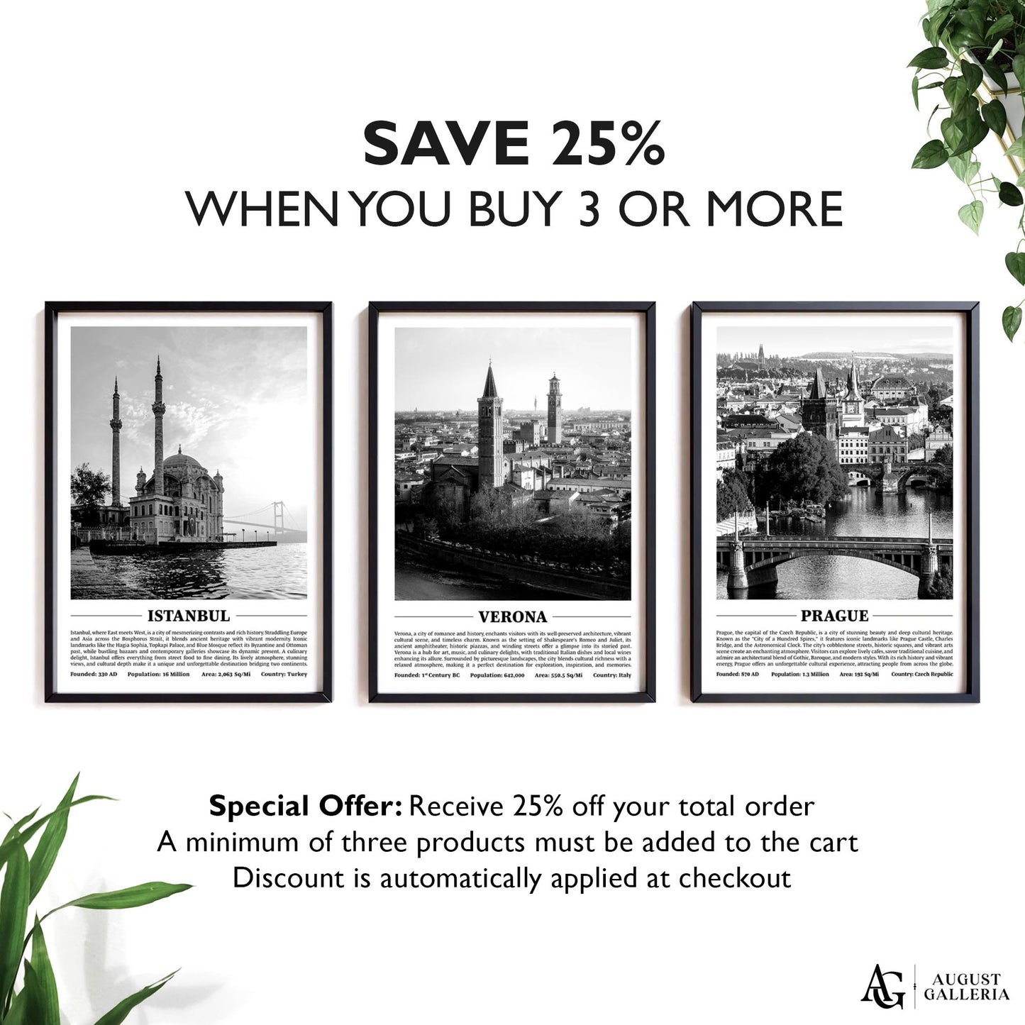 Verona Black & White City Print