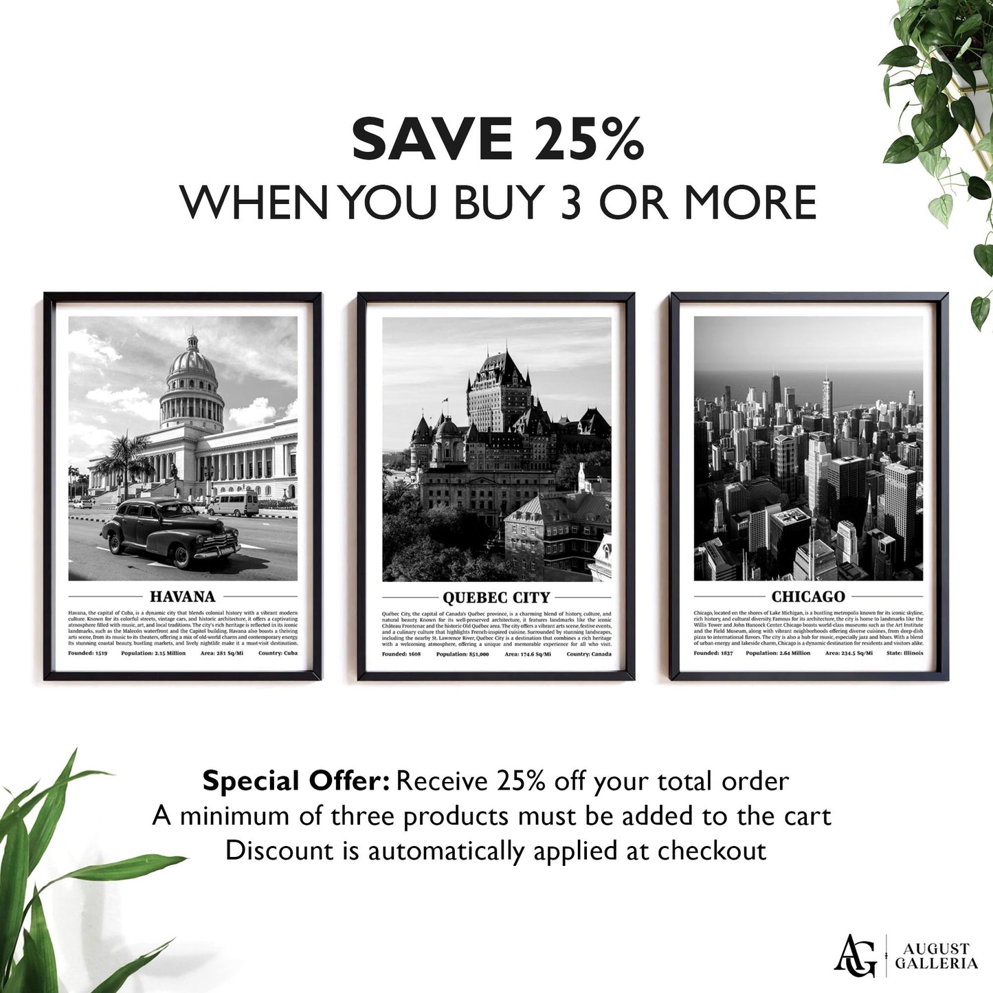Quebec City Black & White City Print