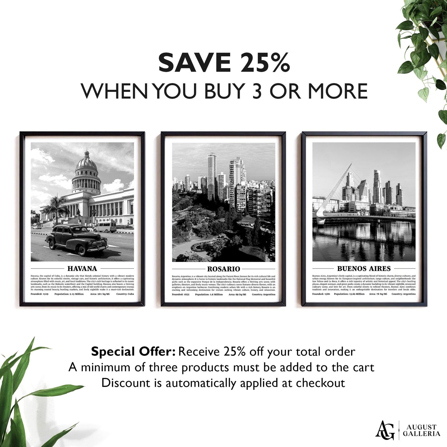 Rosario Black & White City Print