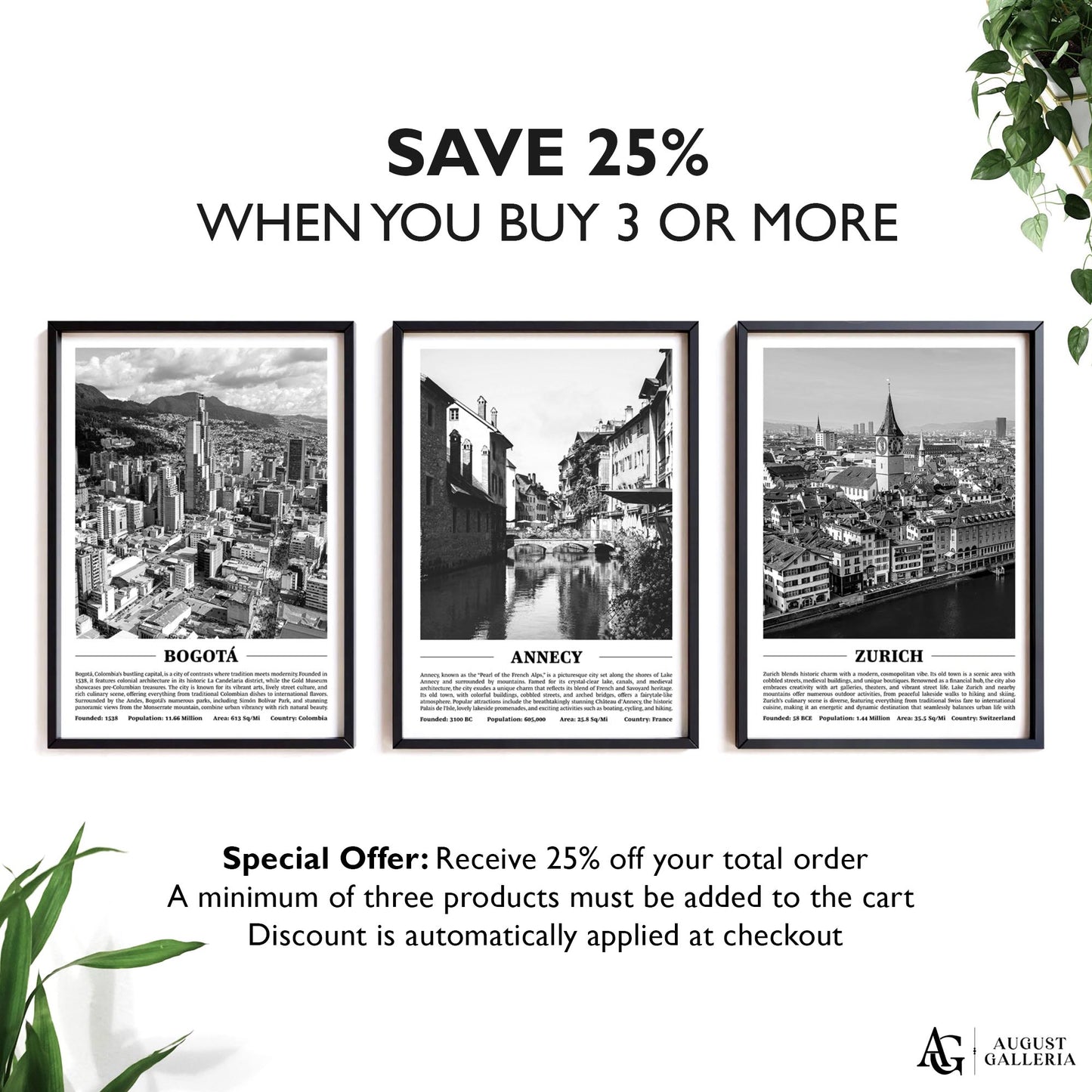 Annecy Black & White City Print