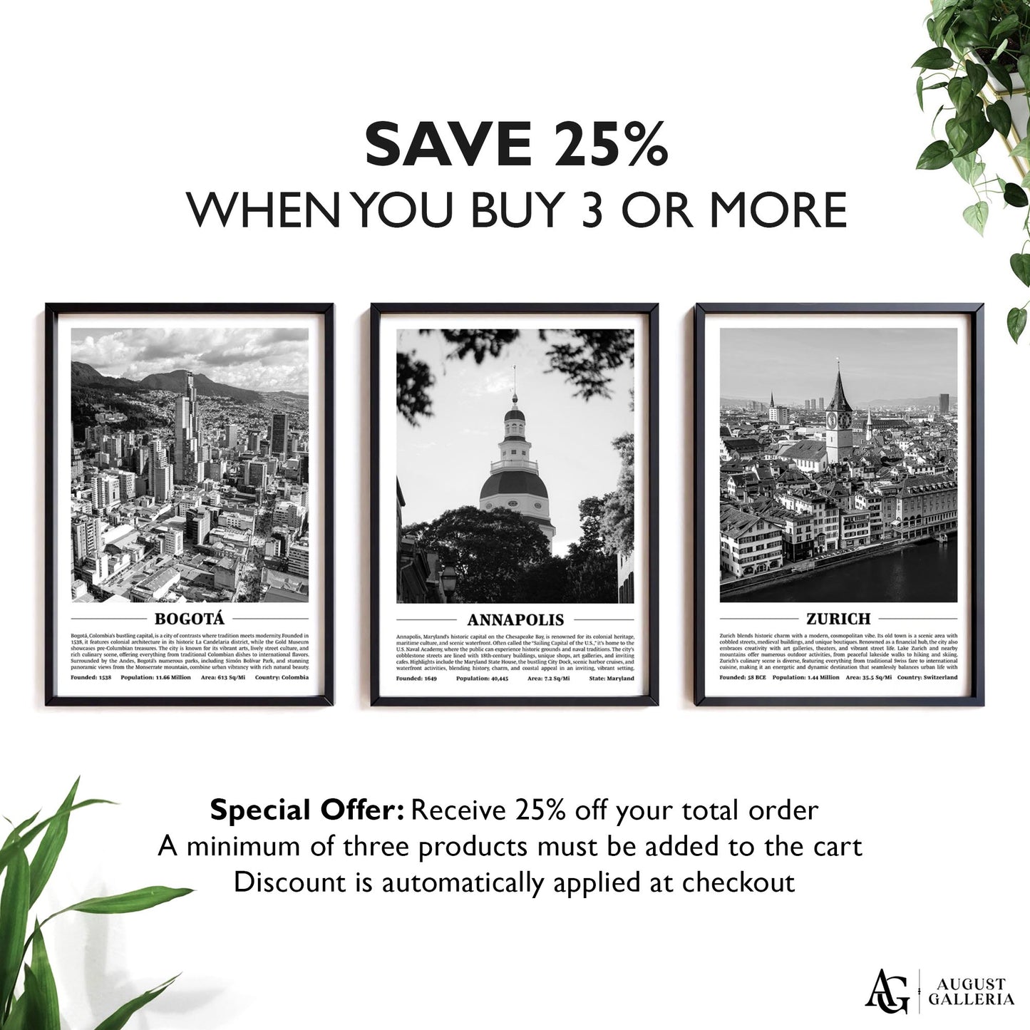 Annapolis Black & White City Print