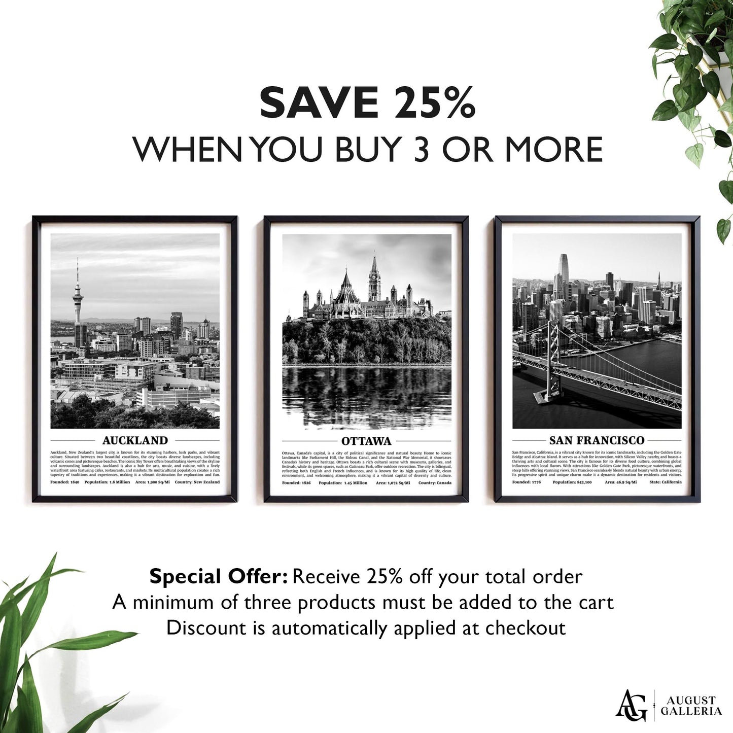 Ottawa Black & White City Print